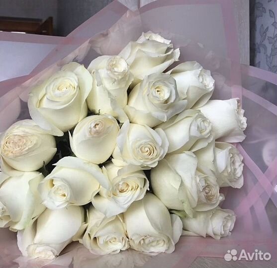 101 роза 51 31 25 Роза. Цветы, доставка букетов