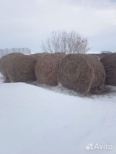 Сено в тюках