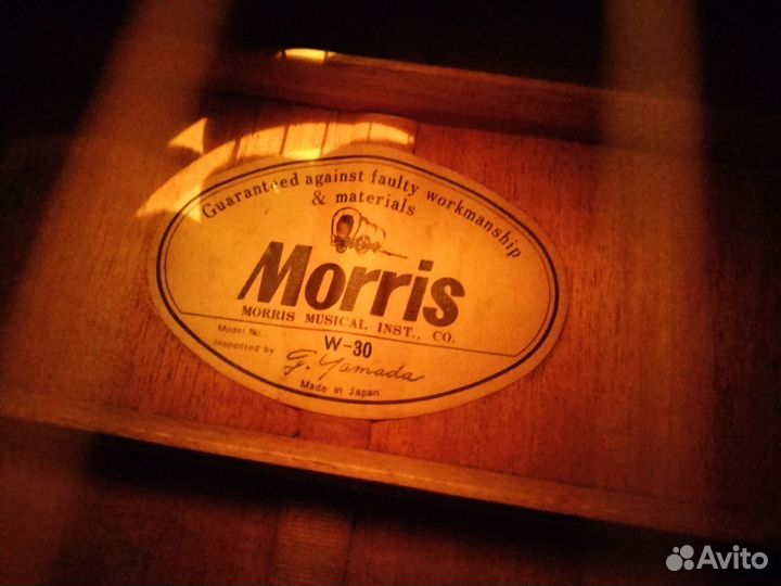 Акустическая гитара Morris w30
