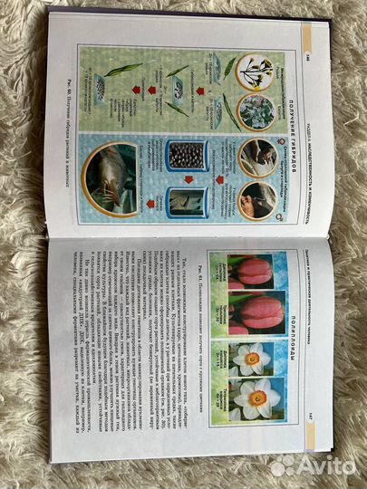 Учебник по биологии 9 класс