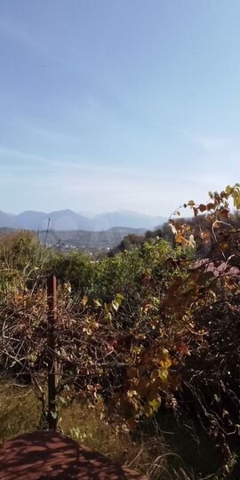 Участок 7,3 сот. (СНТ, ДНП)