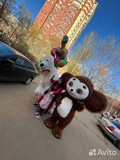 Чебурашка Мишка Умка аниматор