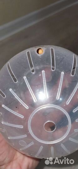 Вещи для хомяка