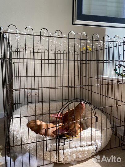 Вольер для собак