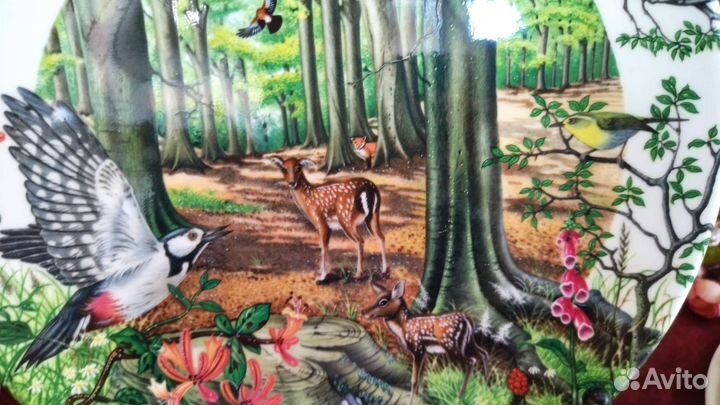 Тарелка 1988 The Beechwood Colin Newman