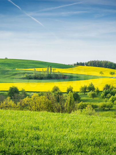 Участок 9,01 га (СНТ, ДНП)