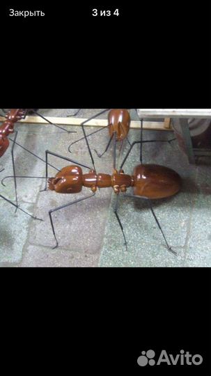 Муравей декоративный