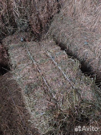 Сено в тюках