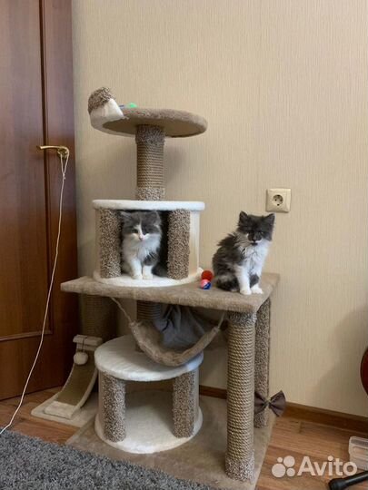 Домик для кошек