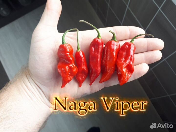 Хабанеро и другие острые перцы(Семена)