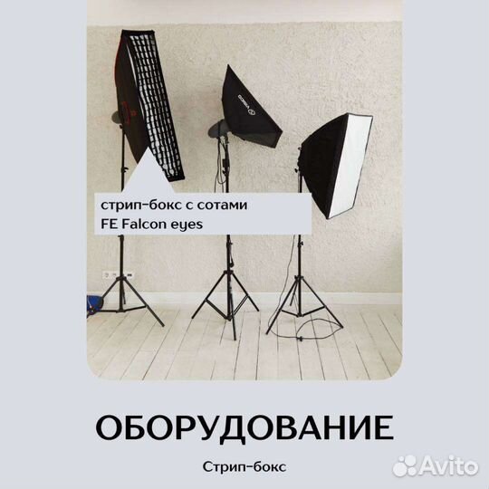 Импульсный источник света