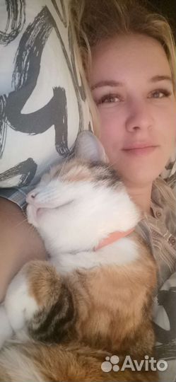 Котоняня на время вашего отсутствия