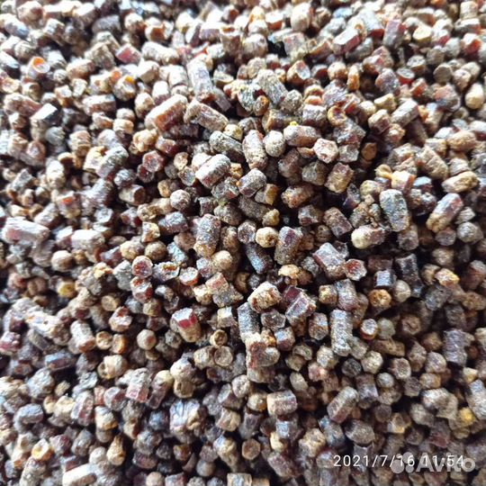 Перга в гранулах 2023 года