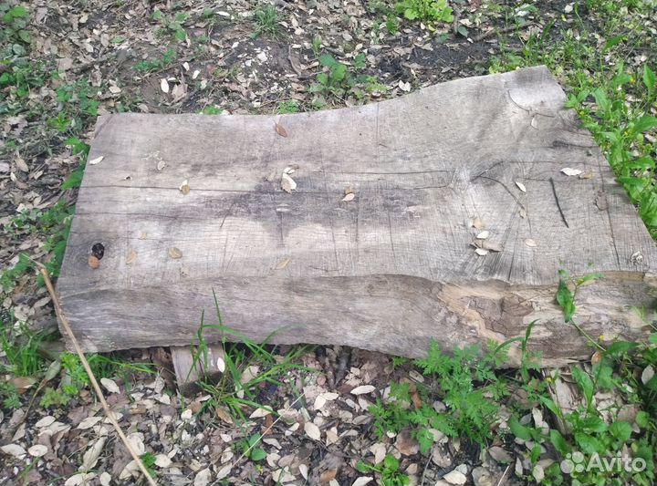 Слэбы, спилы дуба, ясеня, бука, комфортный лавр
