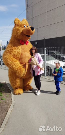 Аэромедведь