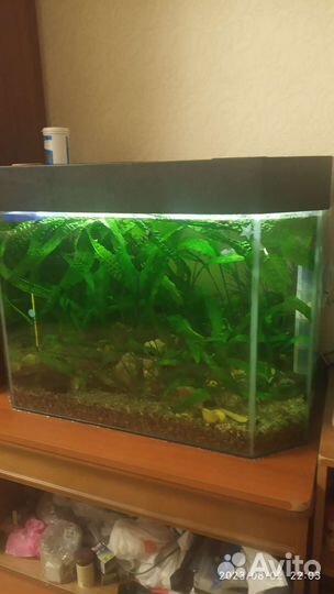 Аквариум