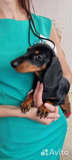 Крошечная девчушка