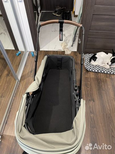 Коляска bugaboo buffalo 2 в 1