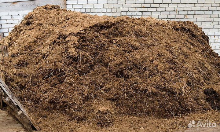 Конский навоз коровьей куриный