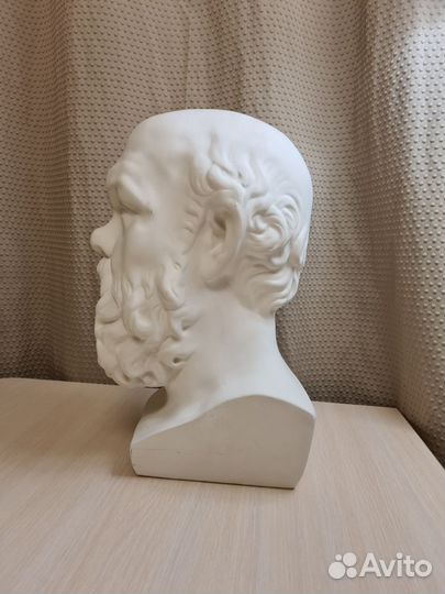 Гипсовая голова Сократа, бюджет мархи