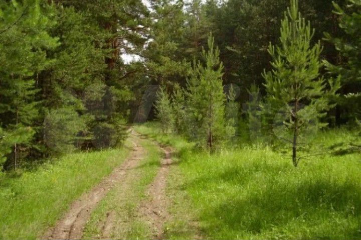 Участок 9,7 га (ИЖС)