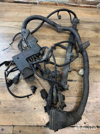 Коса проводка форсунок BMW E39 M52