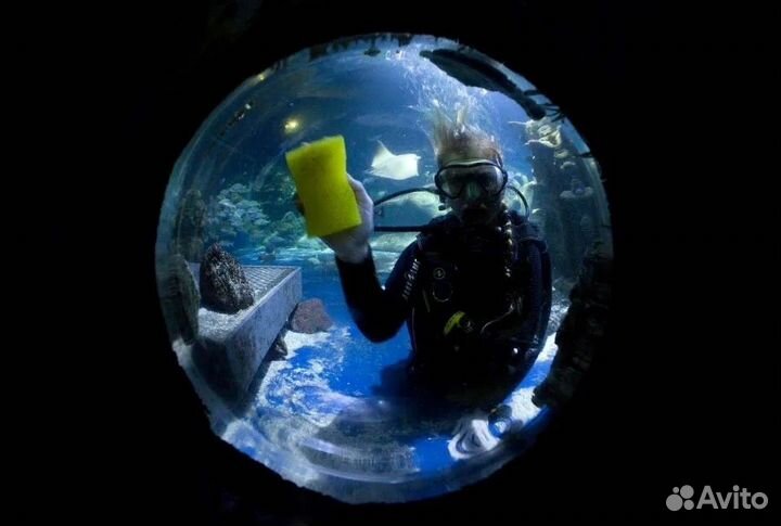 Обслуживание аквариумов Пресноводных и Морских