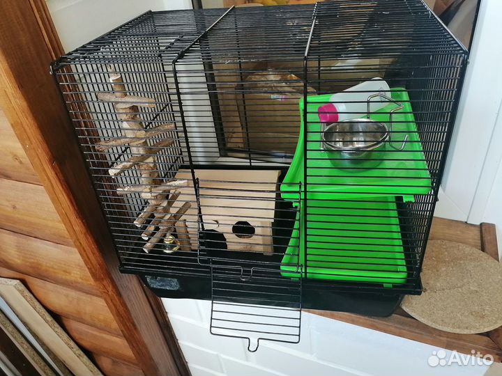 Клетка всё включено