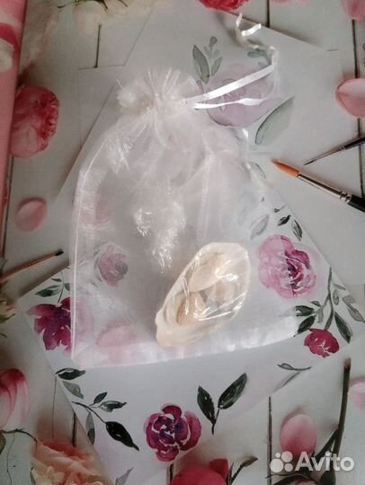 Ракушки с моря