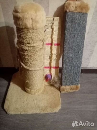 Когтеточка