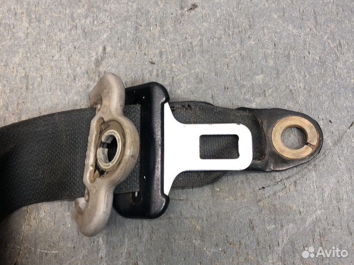 Пер лев ремень Альмера н16