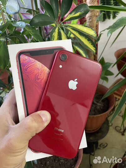 iPhone Xr, 64 ГБ