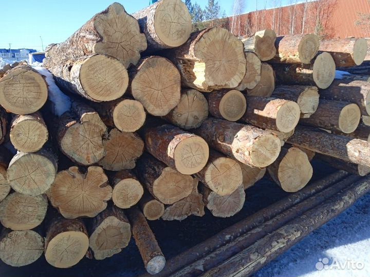 Лес кругляк, пиловочник сосна