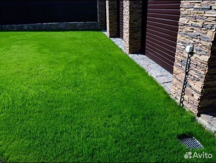 Рулонный газон от производителя спортивный
