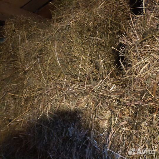 Сено в тюках
