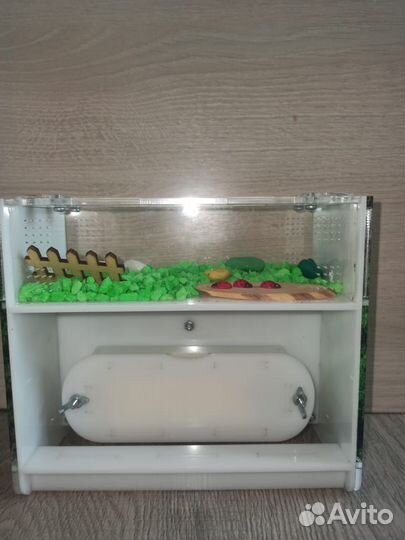 Муравьиная ферма