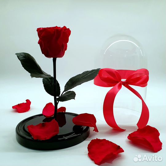 Роза в колбе. Разные размеры