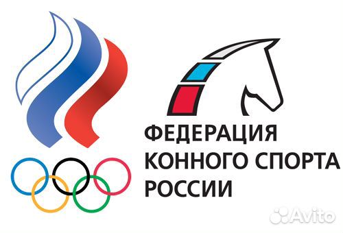Объявляется набор на обучение и занятие конным спо