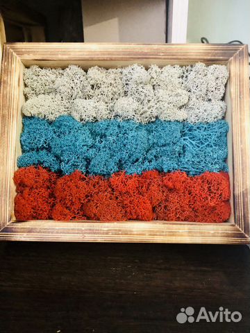 Картина из стабилизированного мха