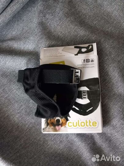 Трусы собачьи