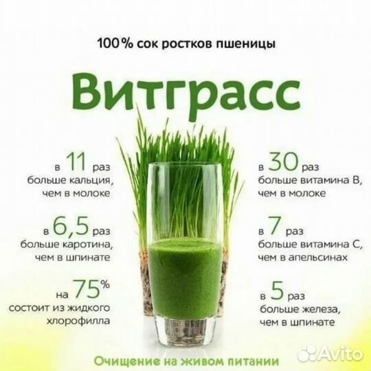 Витграсс, старт твоей идеальной фигуры