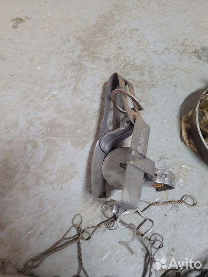 Капканы для животных