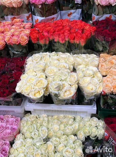 Доставка цветов / Цветы