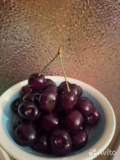 Варенье из черешни без косточек