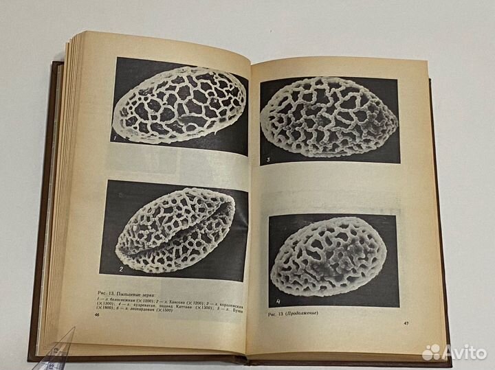 Лилии М.В. Баранова