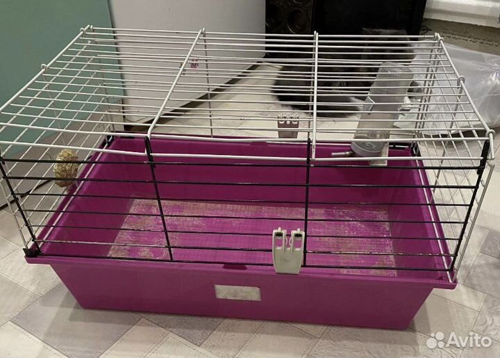 Клетка для крупных грызунов