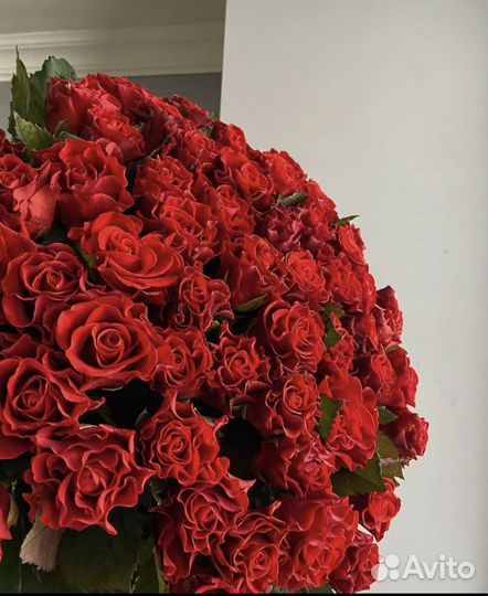 15 25 35 45 51 101 роз розы цветы букеты