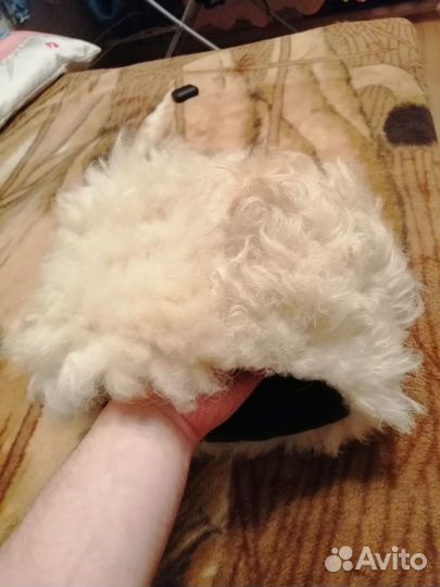 Папаха-шапка