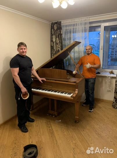 Перевозка сейфов пианино рояля такелажные работы