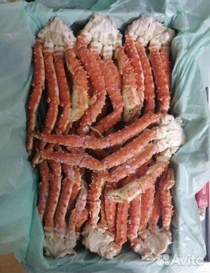 Конечности камчатского краба